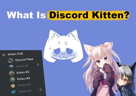 Read more about mods from Webopedia. . Discord mod kitten copypasta